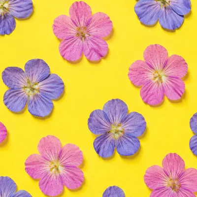 Seamless Pressed Floral Pattern on Lemon Yellow