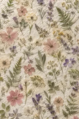 Pressed Wildflower Seamless Botanical Pattern