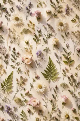 Seamless Wildflower Botanical Pattern on Ivory Paper