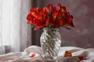 Red-Orange Floral Vase Still Life