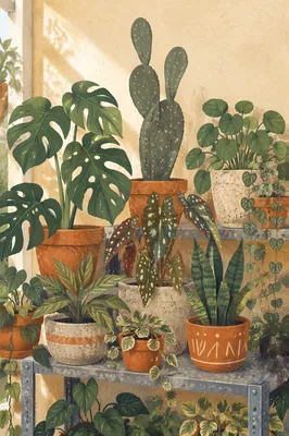 Indoor Plant Shelf with Terracotta Pots