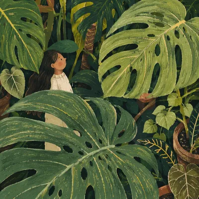 Lush Monstera Leaves in Calm Green Light