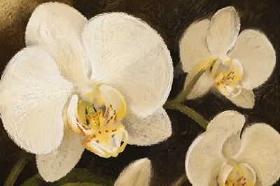 Elegant White Orchid Macro Floral Portrait