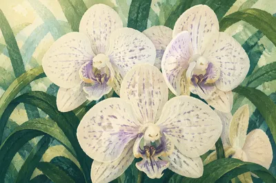 Elegant White Orchids with Violet Speckles