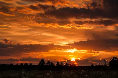 Dramatic Sunset Sky Over Tree Silhouette