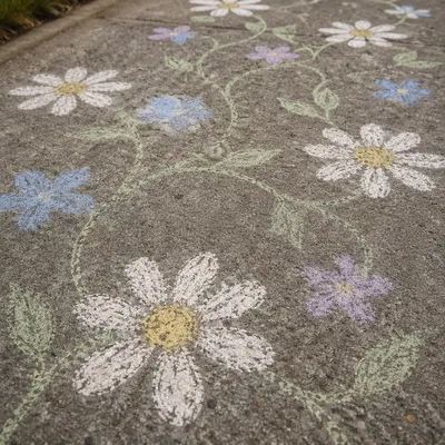 White Daisy Chalk Flowers on Concrete
