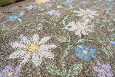 White Daisy Chalk Garden on Concrete