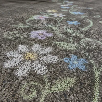 White Daisy Chalk Flowers on Concrete