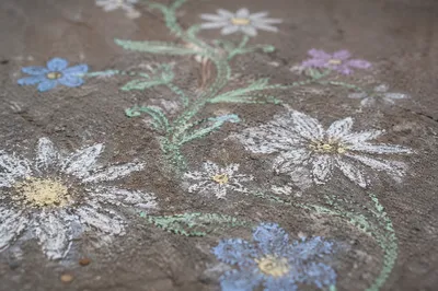 White Daisy Chalk Flowers on Concrete