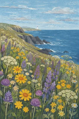 Coastal Wildflower Meadow in Mixed Bloom