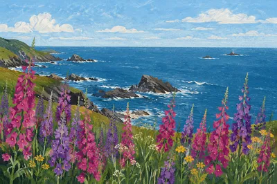 Coastal Wildflower Meadow in Summer Bloom