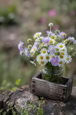 Rustic Wildflower Bouquet in Glass Jar