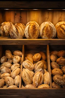 Fresh Artisan Bread Bakery Shelf Display