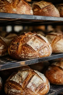 Fresh Artisan Bread Loaves on Bakery Racks
