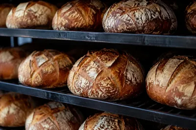 Fresh Artisan Bread Loaves on Bakery Racks