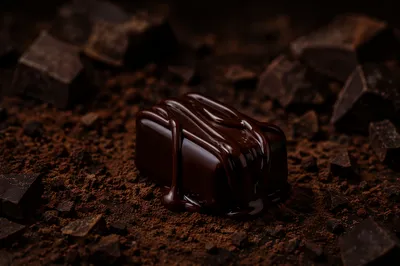 Moody Dark Chocolate Dessert Close Up