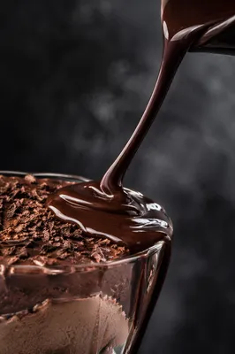 Glossy Dark Chocolate Dessert Close Up