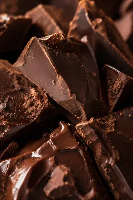 Rich Dark Chocolate Dessert Close Up
