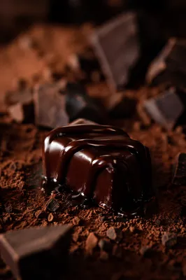 Moody Dark Chocolate Dessert Close Up