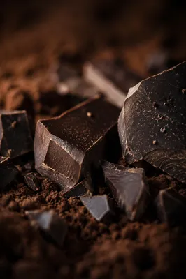 Dark Chocolate Shards on Cocoa Powder