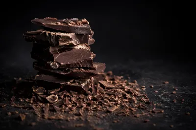Moody Dark Chocolate Dessert Close Up