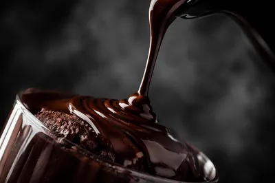 Glossy Dark Chocolate Dessert Close Up