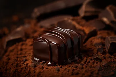 Rich Dark Chocolate Dessert Close Up