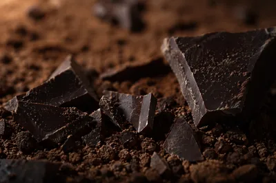 Dark Chocolate Shards on Cocoa Powder