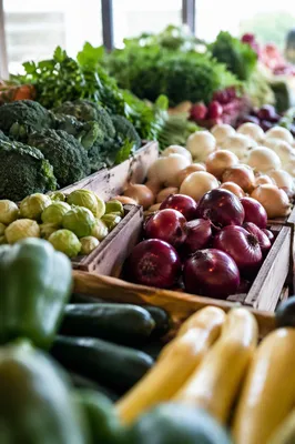 Fresh Organic Farmers Market Produce Display