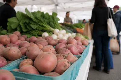 Fresh Farmers Market Potatoes and Vegetables