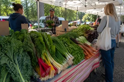 Fresh Organic Produce at Farmers Market