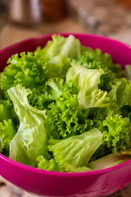 Fresh Green Salad in Magenta Bowl