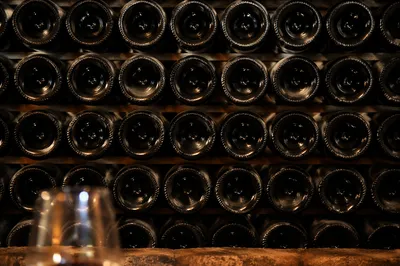 Red Wine Bottles in Moody Cellar