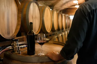 Red Wine Tasting in Quiet Cellar