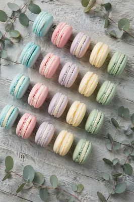 Pastel Macarons in Diagonal Flat Lay