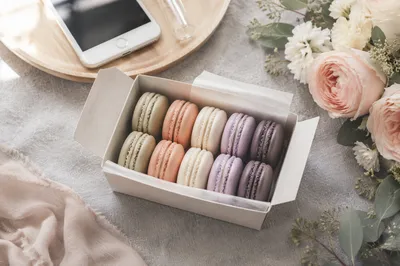 Pastel Macarons Flat Lay with Flowers