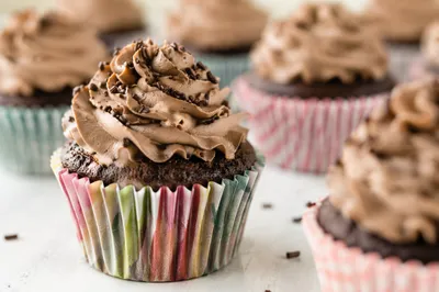 Chocolate Cupcakes with Swirled Frosting Close-Up