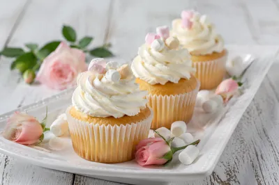 Vanilla Cupcakes With Creamy Frosting