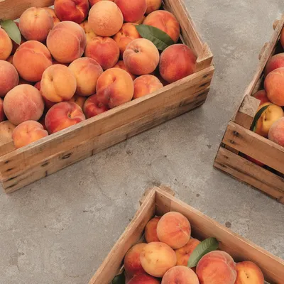 Organic Stone Fruit in Rustic Market Crates