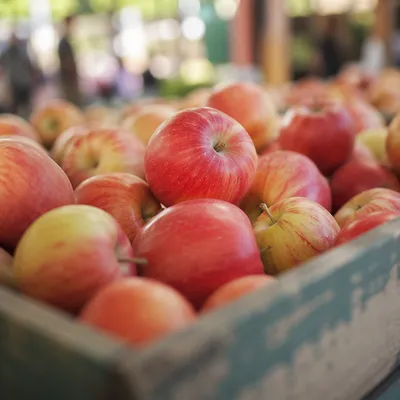 Organic Red Apples in Rustic Market Crate