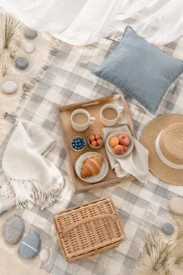 Coastal Picnic Flat Lay on Checkered Blanket