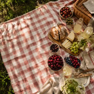 Sunlit Picnic Spread on Checkered Blanket