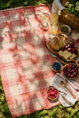 Sunlit Picnic Spread on Checkered Blanket