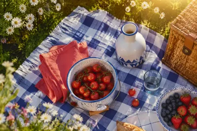 Sunlit Picnic Spread on Checkered Blanket