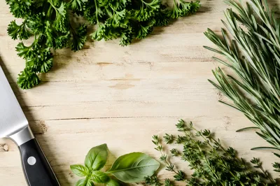 Fresh Garden Herbs on Wooden Cutting Board
