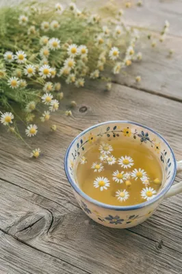 Rustic Chamomile Tea Cup with Flowers