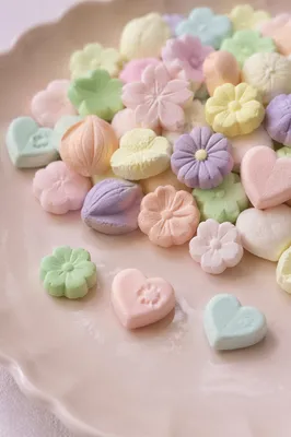 Pastel Japanese Wagashi on Pink Ceramic Plate