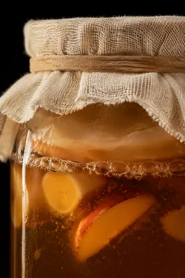 Homemade Fruit Kombucha in Rustic Glass Jar