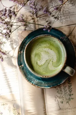 Overhead Matcha Latte on Vintage Botanical Pages