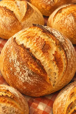 Golden Sourdough Bread Rolls Close Up